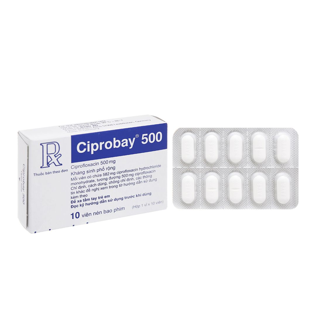 Thuốc kháng sinh Ciprobay 500mg điều trị nhiễm trùng Pharmart vn