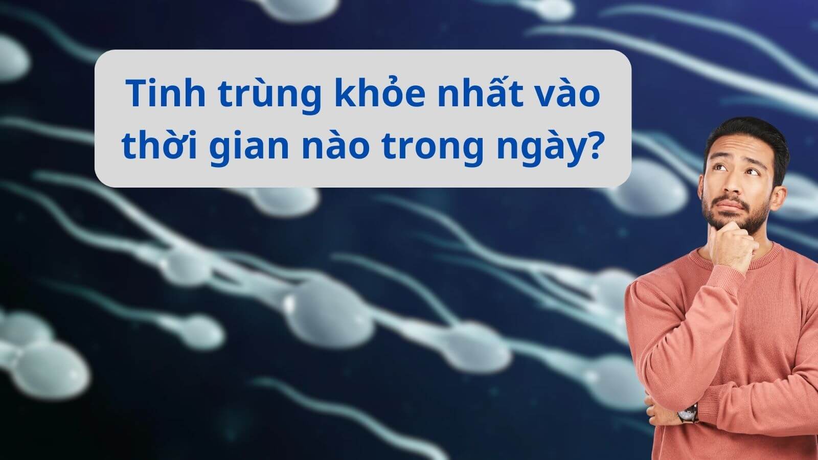 [Giải đáp] Tinh trùng khỏe nhất vào thời gian nào trong ngày?