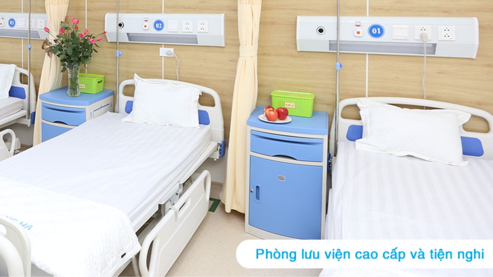 Phòng phẫu thuật & Hậu phẫu