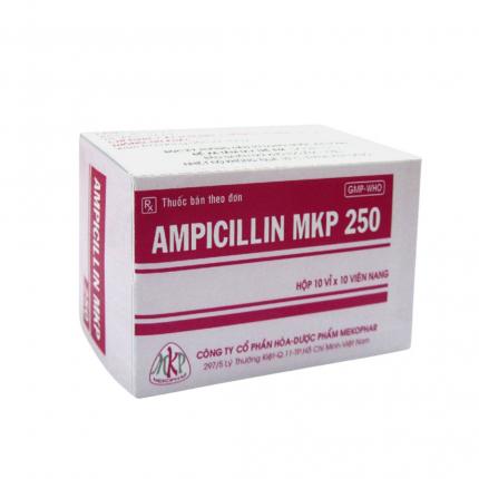 Ampicillin 250mg Mekophar