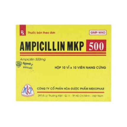 Ampicillin Mkp 500