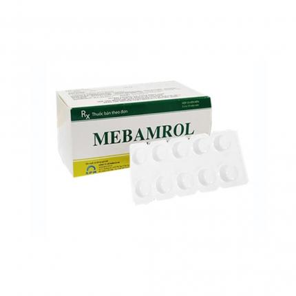 Mebamrol 100mg - Điều trị tâm thần phân liệt, loạn thần bệnh Paskinson