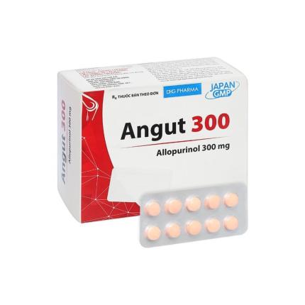 Angut 300 (2)