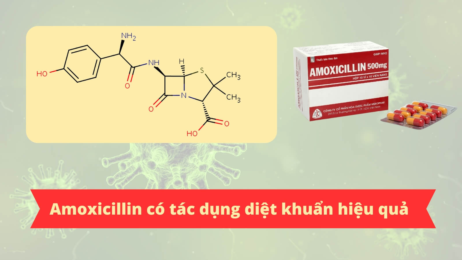 Thuốc Amoxicillin 500mg Mekophar có tác dụng diệt khuẩn hiệu quả