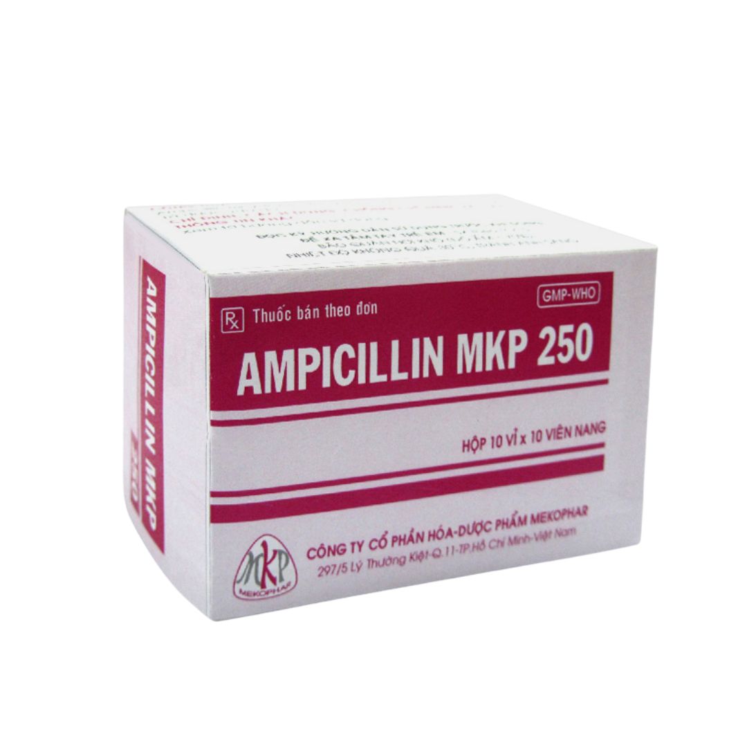 Ampicillin 250mg Mekophar - Pharmart.vn