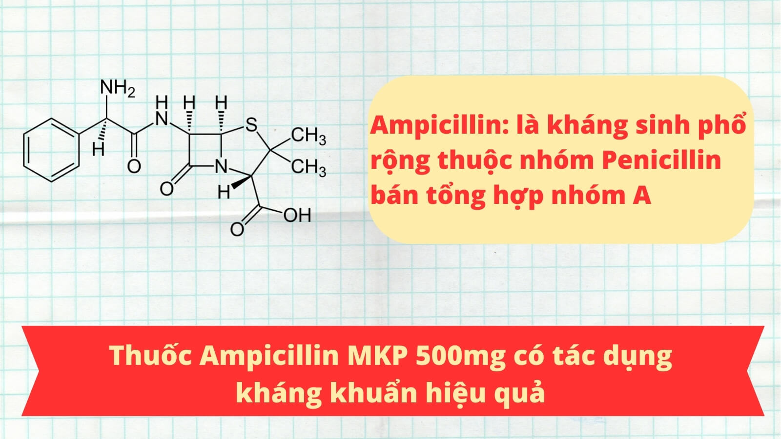 Thuốc Ampicillin MKP 500mg chứa kháng sinh giúp kháng khuẩn hiệu quả