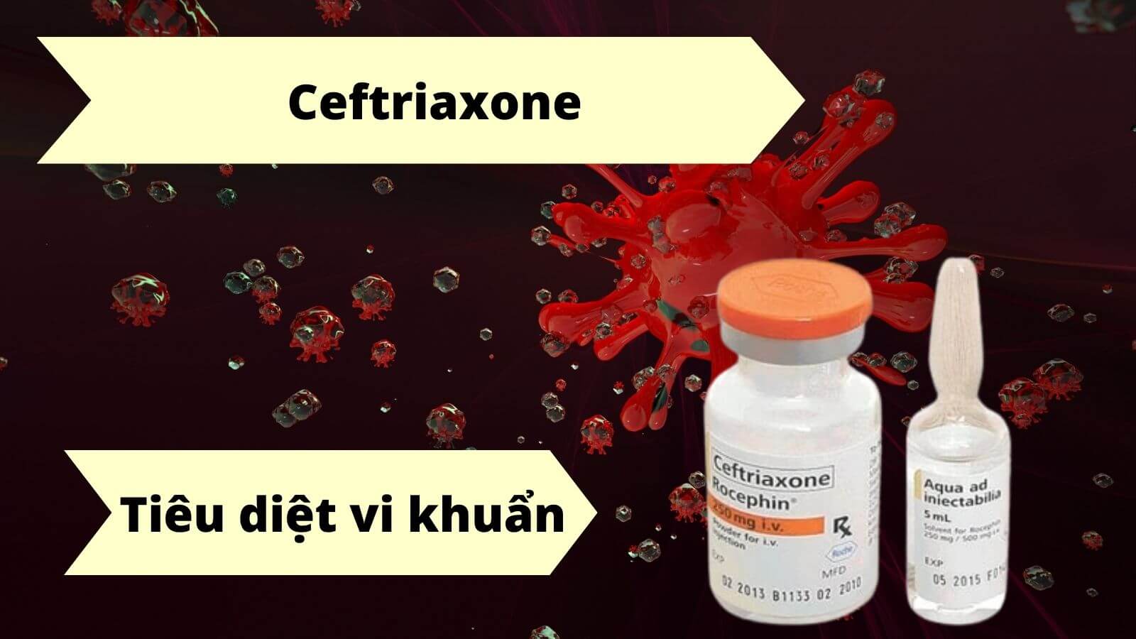 Ceftriaxone - thành phần chính của thuốc Rocephin 250 