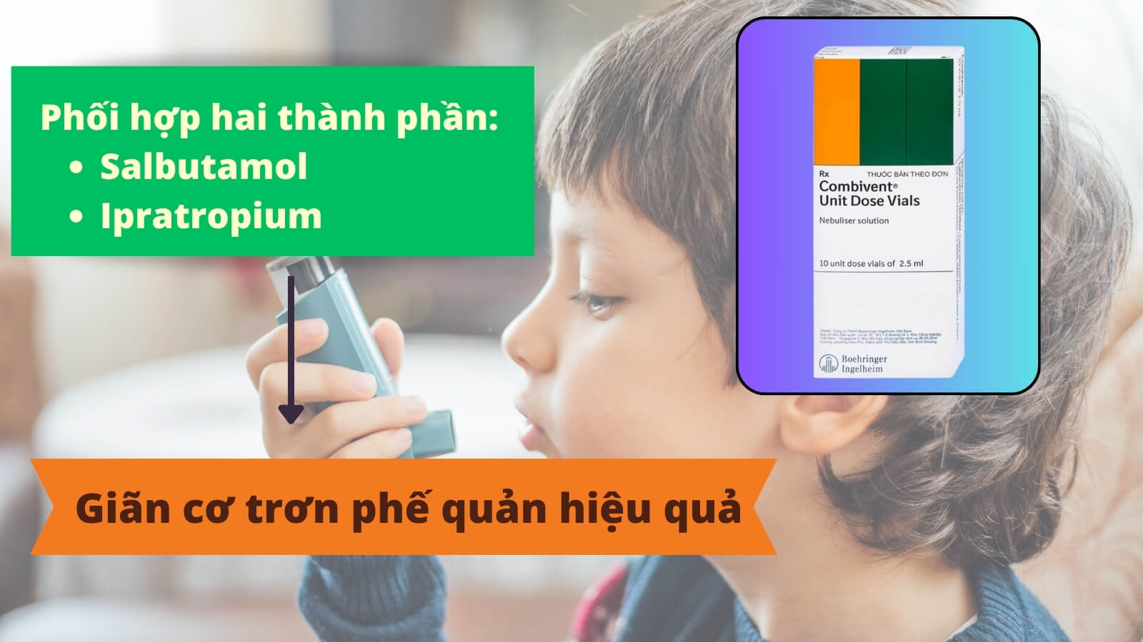 Thuốc Combivent chứa các thành phần giúp giãn cơ trơn phế quản hiệu quả