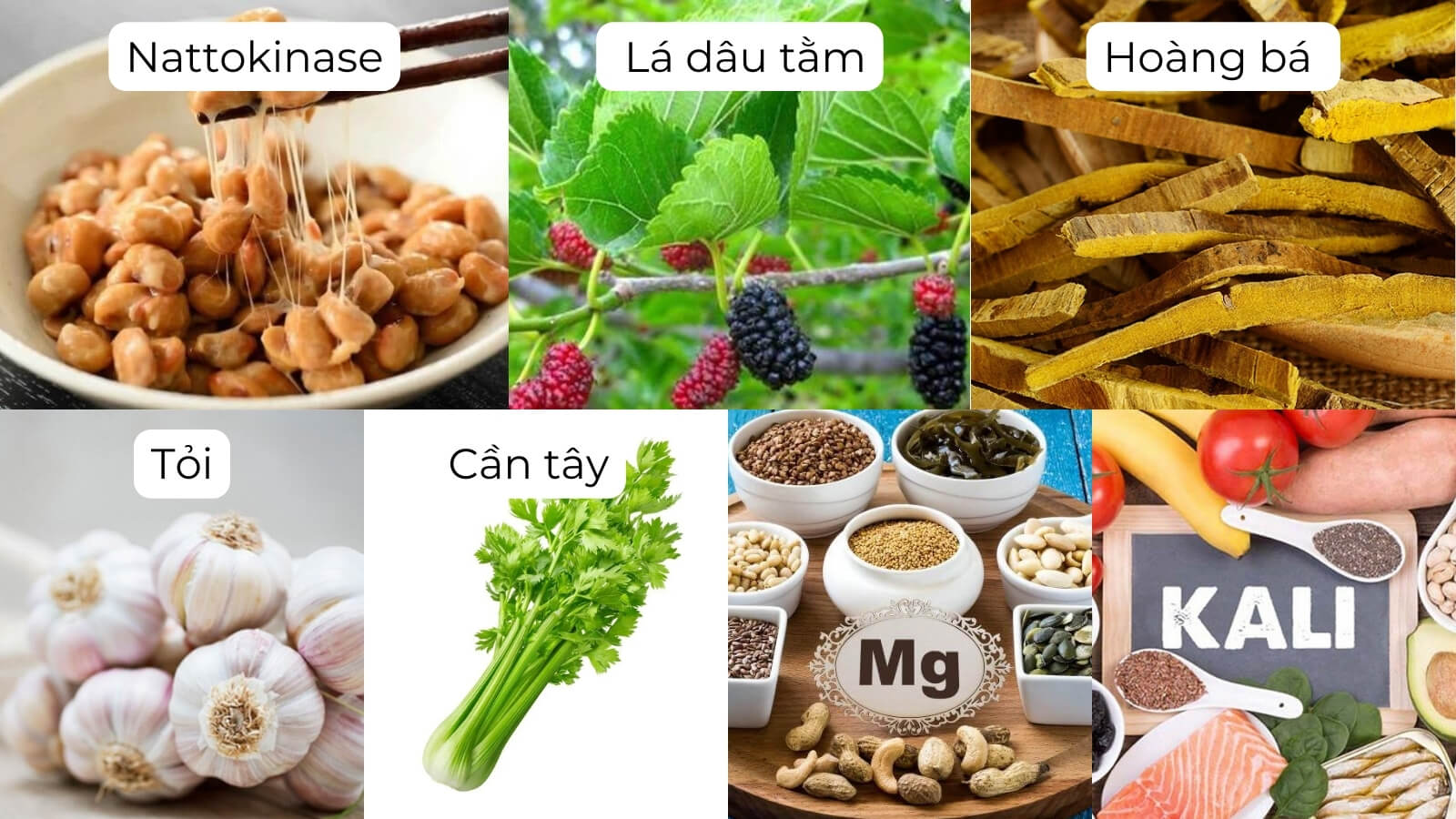 Các thành phần chính có trong viên uống Định Tâm Vương