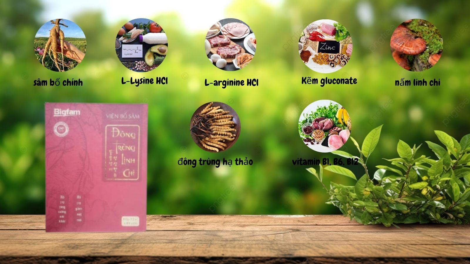 Đông trùng linh chi chứa nhiều dưỡng chất 