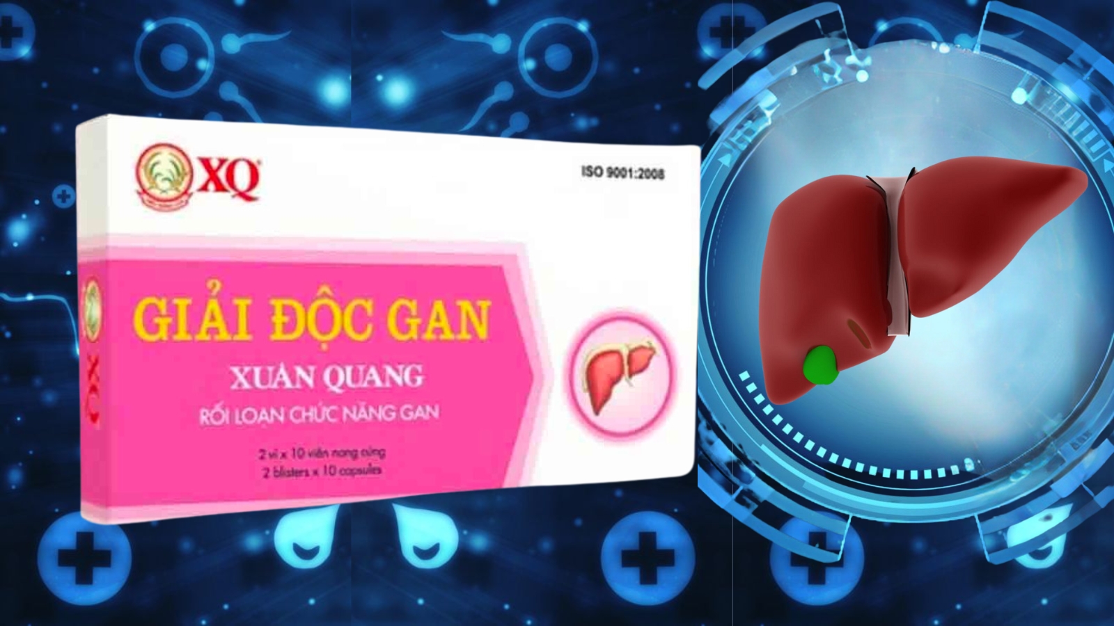 Giải độc gan Xuân Quang - Giải độc, mát gan 