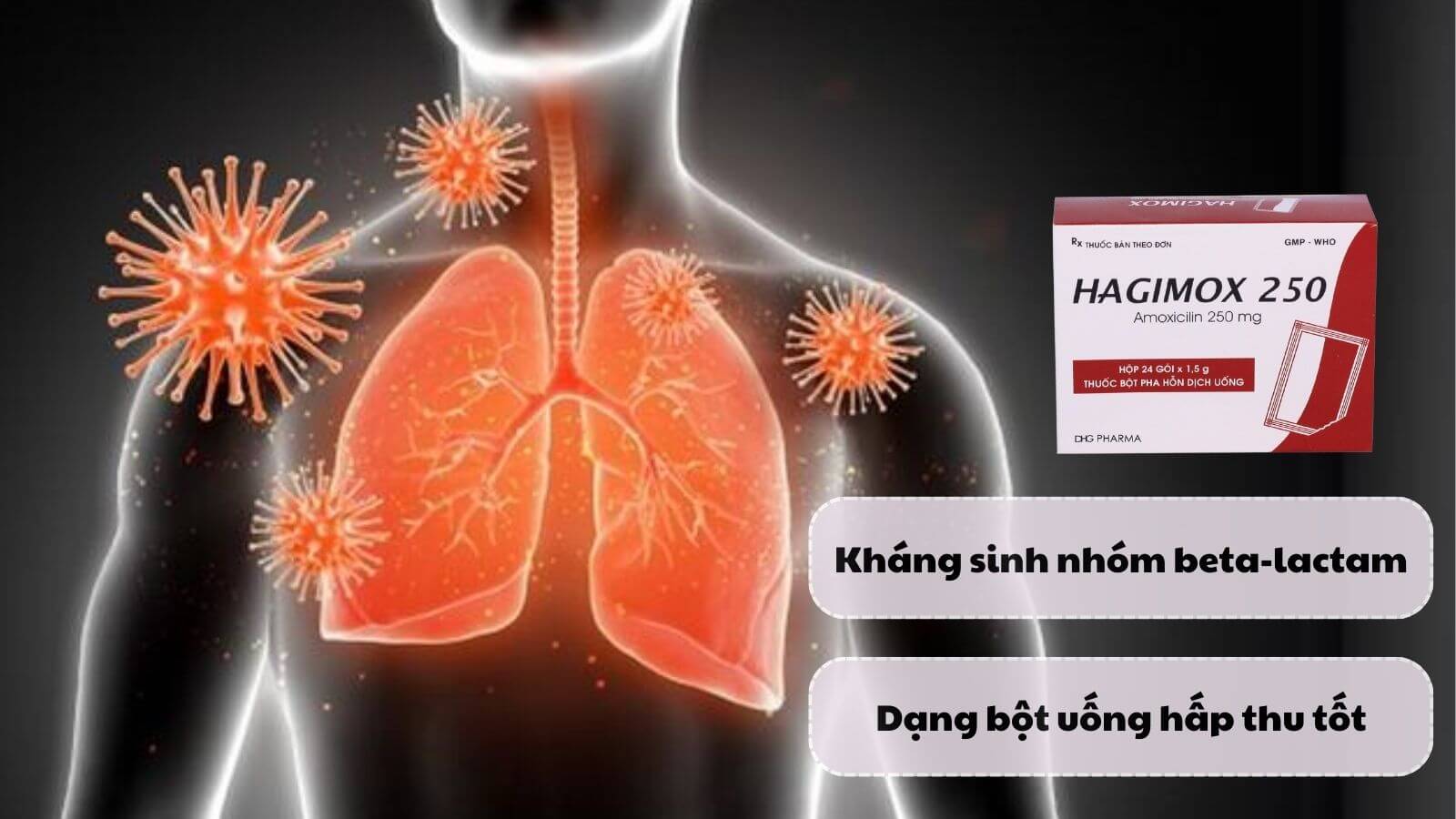 Hagimox 250 chứa thành phần chính là Amoxicillin - kháng sinh nhóm beta-lactam