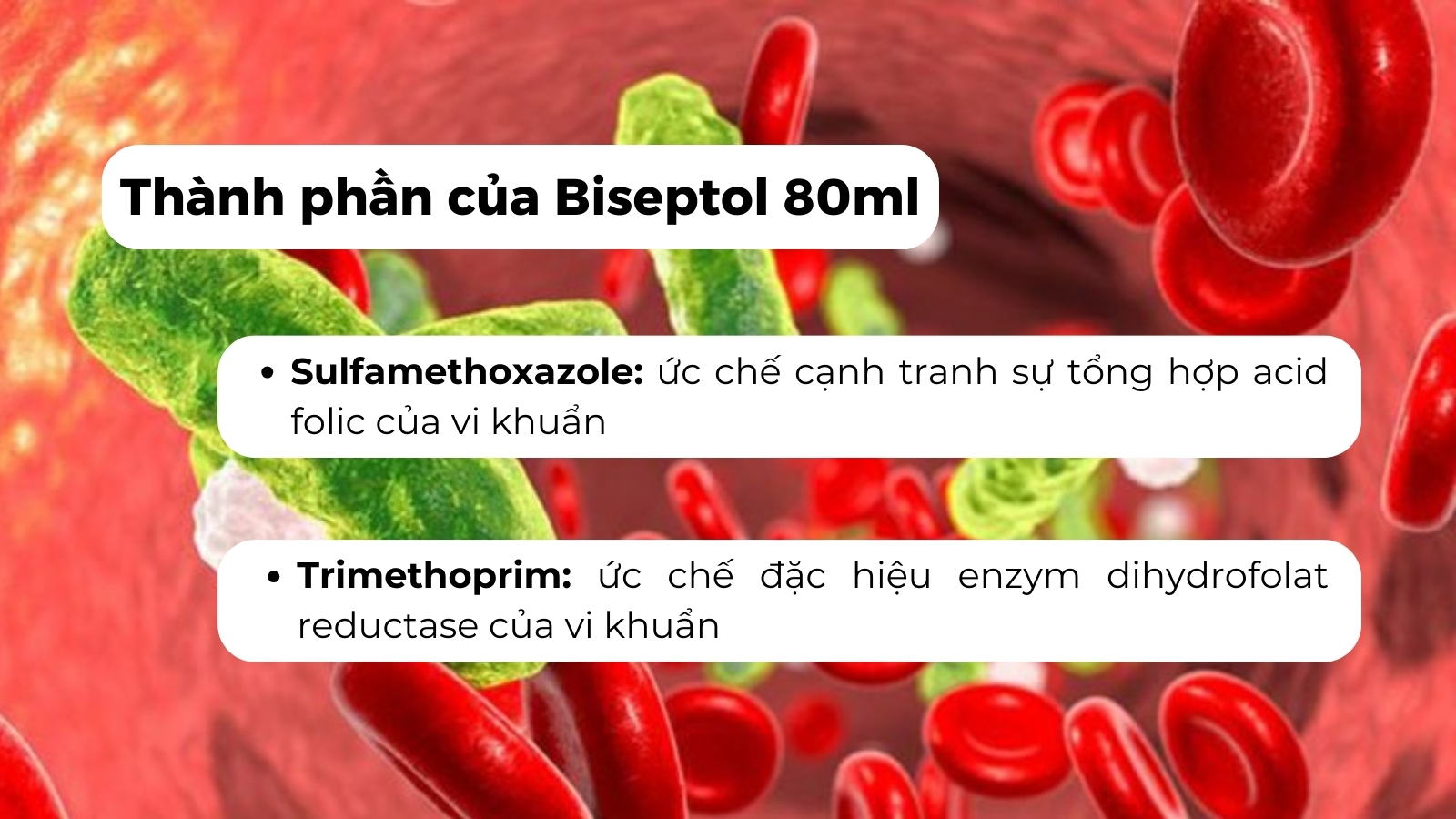 Thuốc Biseptol 80ml điều trị các bệnh nhiễm khuẩn