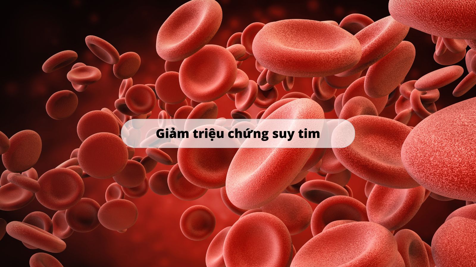 Tác dụng của sản phẩm