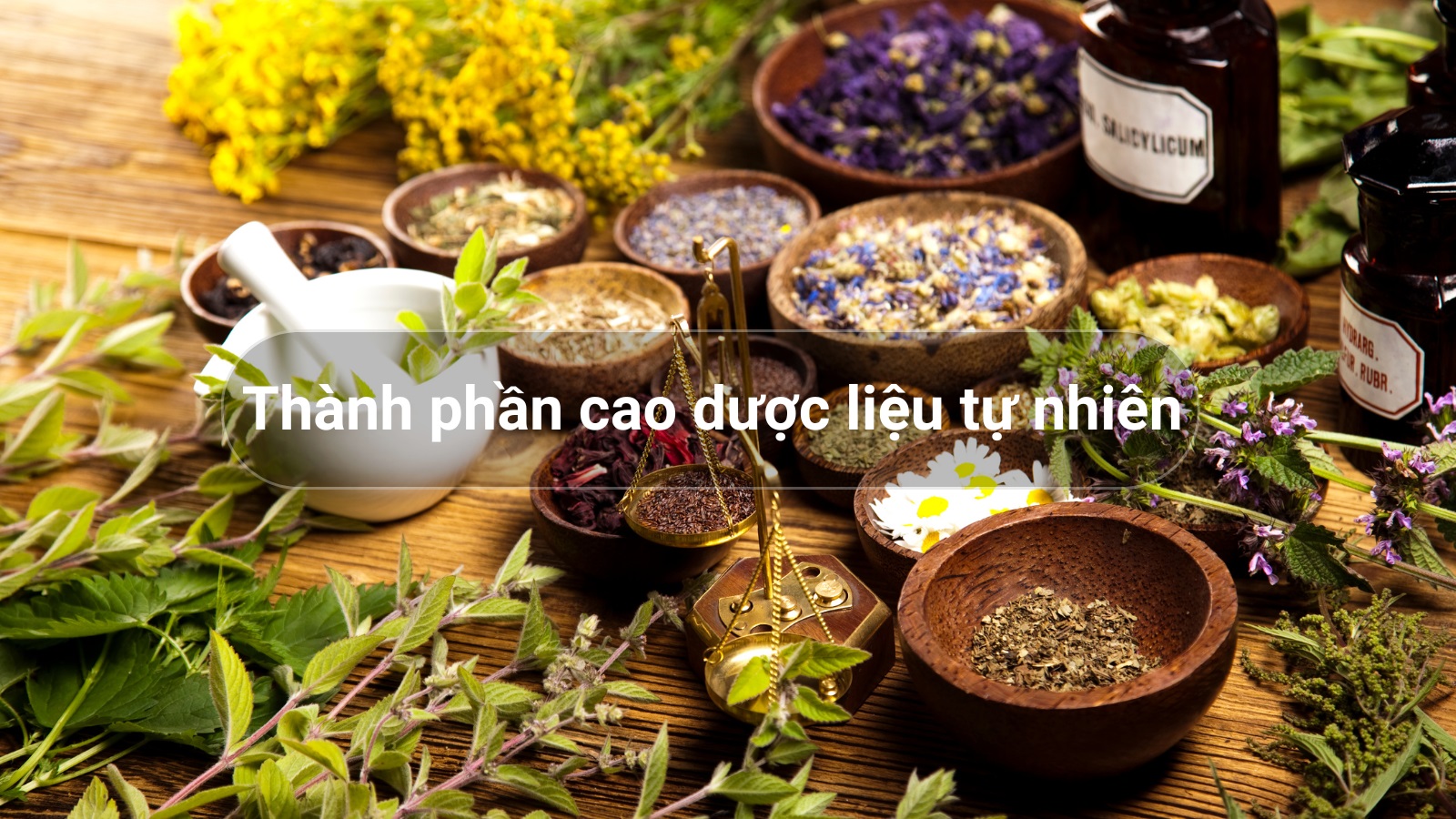 Bảng thành phần dược liệu Việt Nam tự nhiên