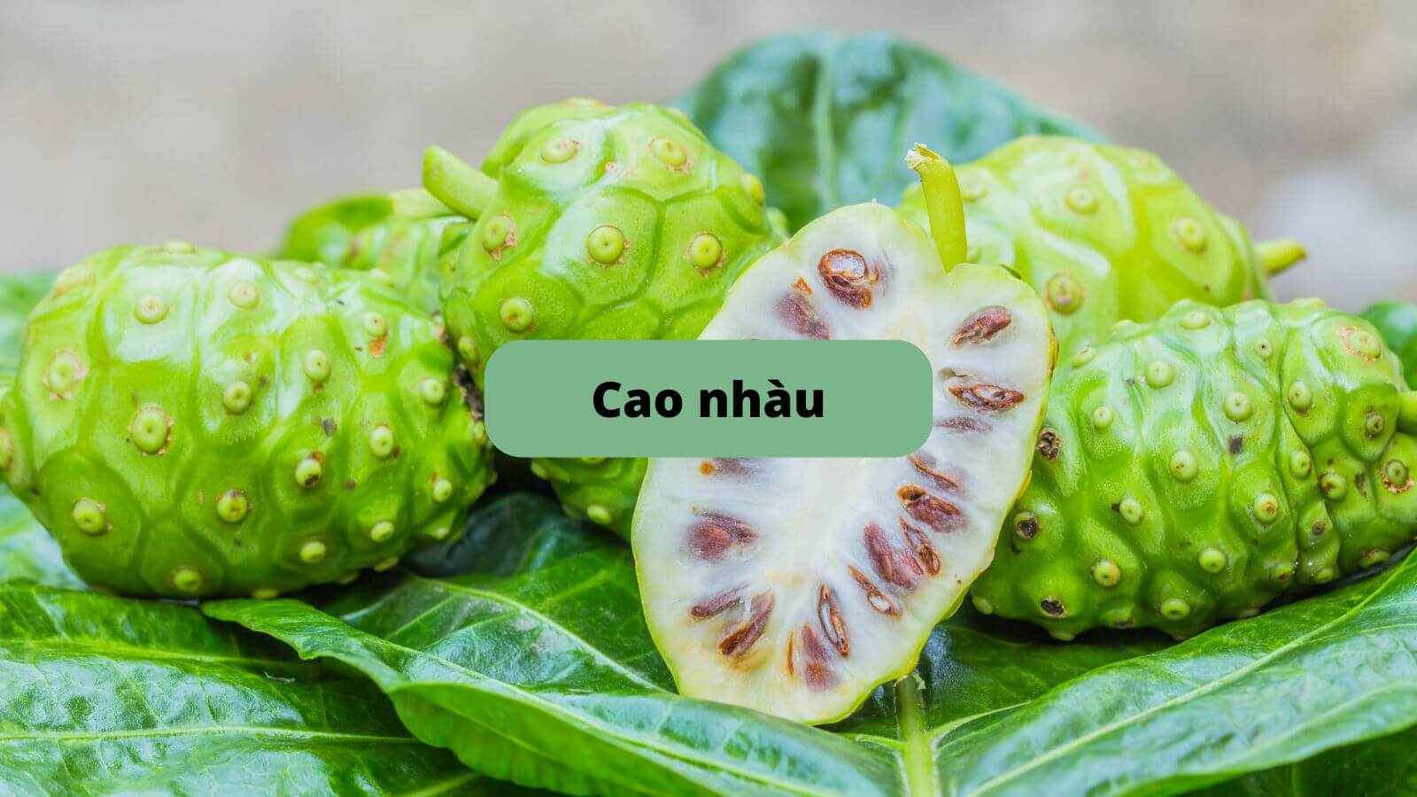 Thành phần của sản phẩm