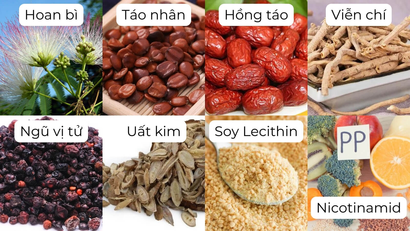 Thành phần chính có trong viên uống Kim Thần Khang