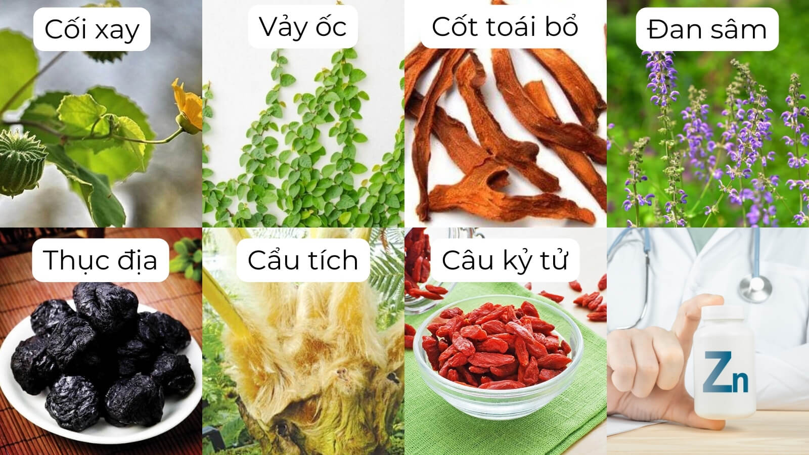 Các thành phần chính có trong viên uống Kim Thính