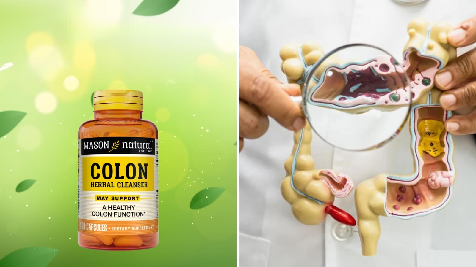 Mason Natural Herbal Colon Cleanser với các thành phần thiên nhiên hỗ trợ thải độc đại tràng