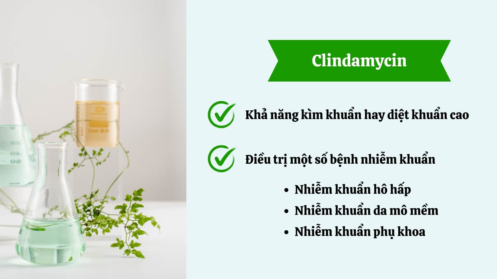 Tác dụng tích cực của Clindamycin - hỗ trợ tình trạng mụn trứng cá