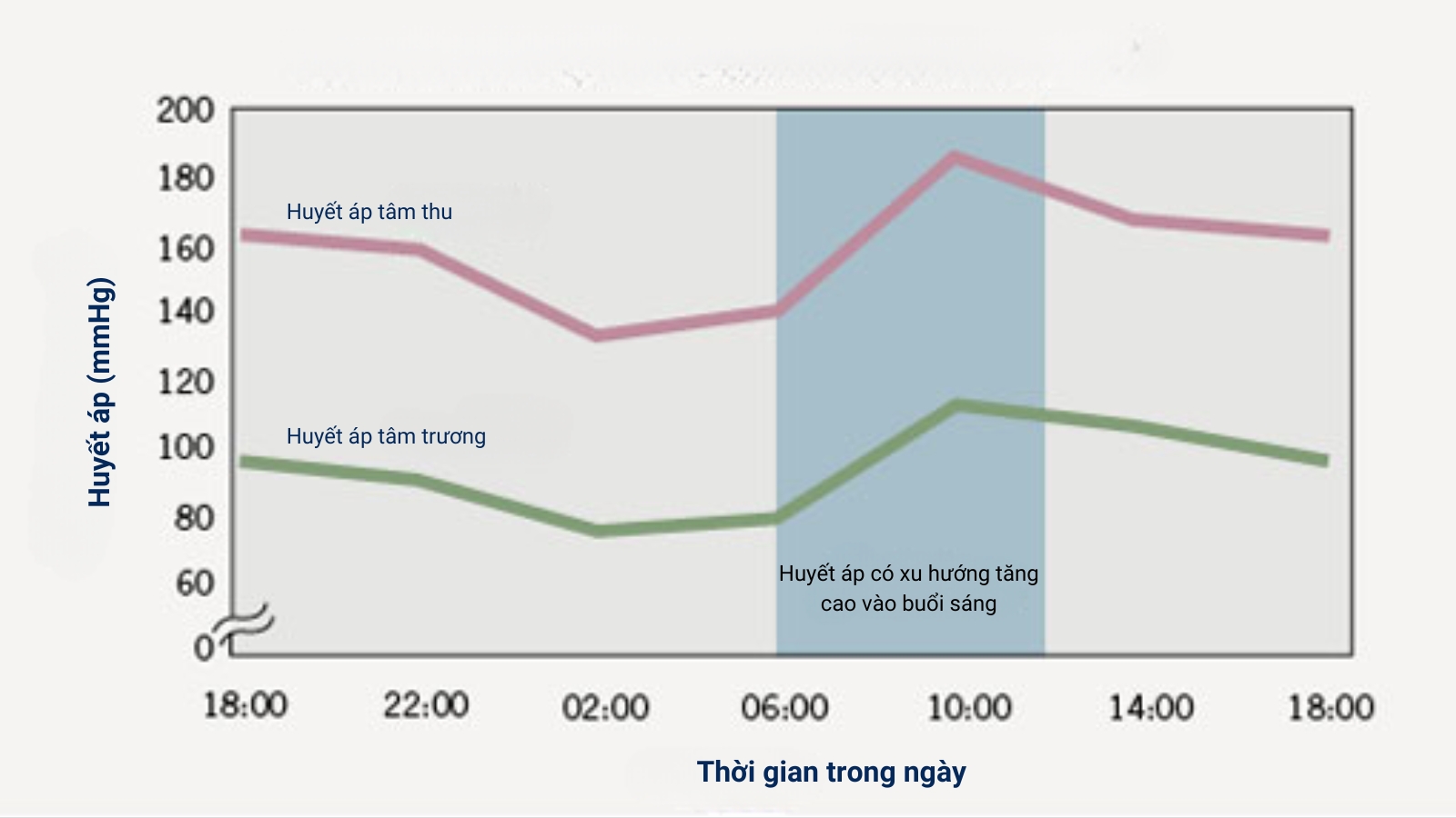 Biểu đồ thể hiện xu hướng tăng giảm huyết áp trong ngày