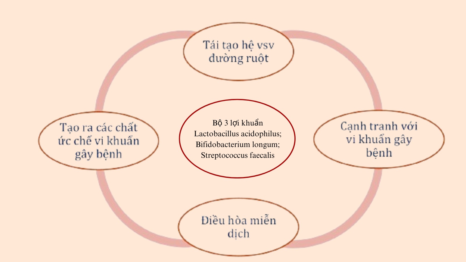 Chìa khóa cho hệ đường ruột khỏe mạnh nằm ở "bộ 3 lợi khuẩn"