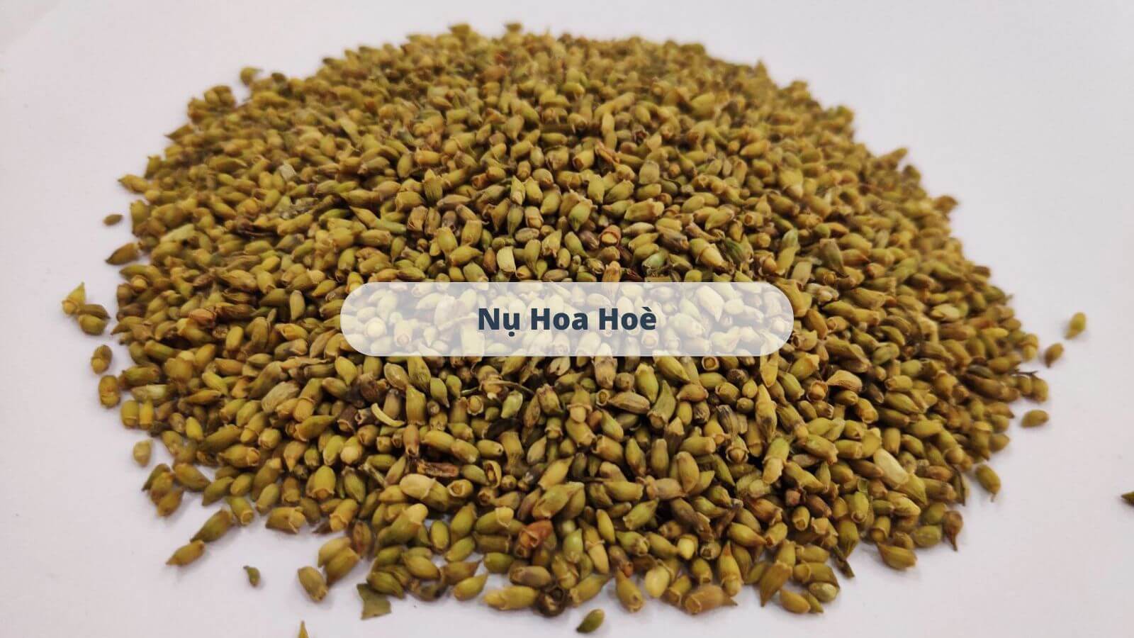 Thành phần chính của Nano Quercetin