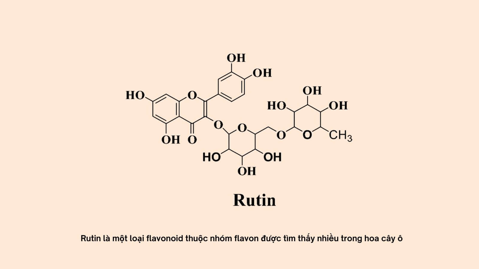 Công thức hoá học của Rutin