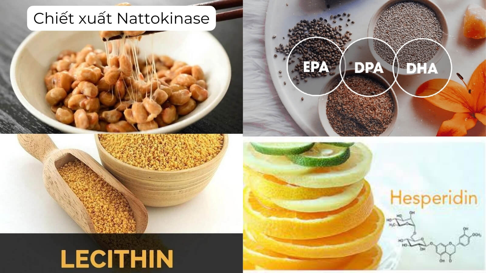 Các thành phần chính có trong Nattokinase 4000 Orihiro