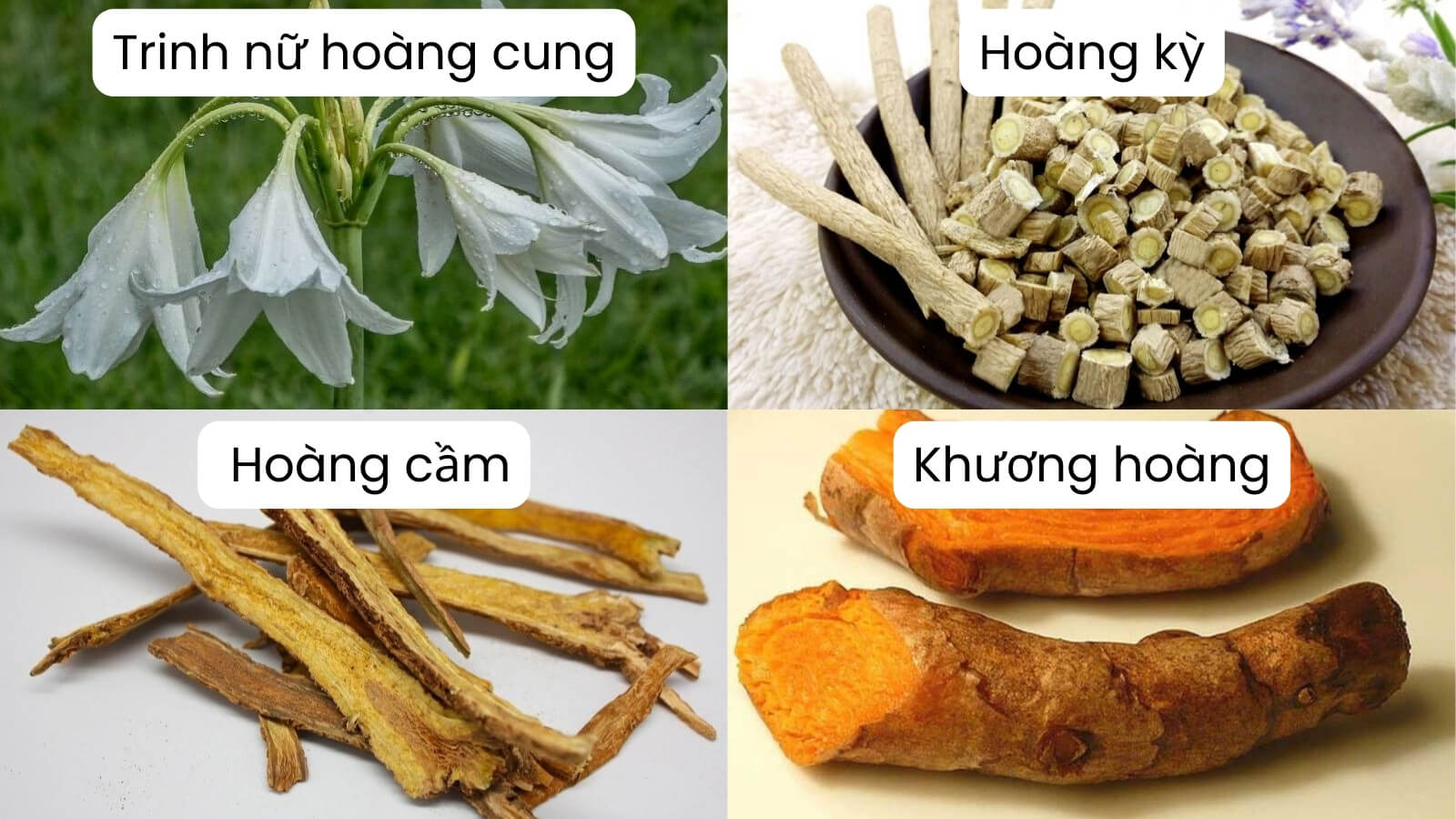 Thành phần chính có trong viên uống Nga Phụ Khang