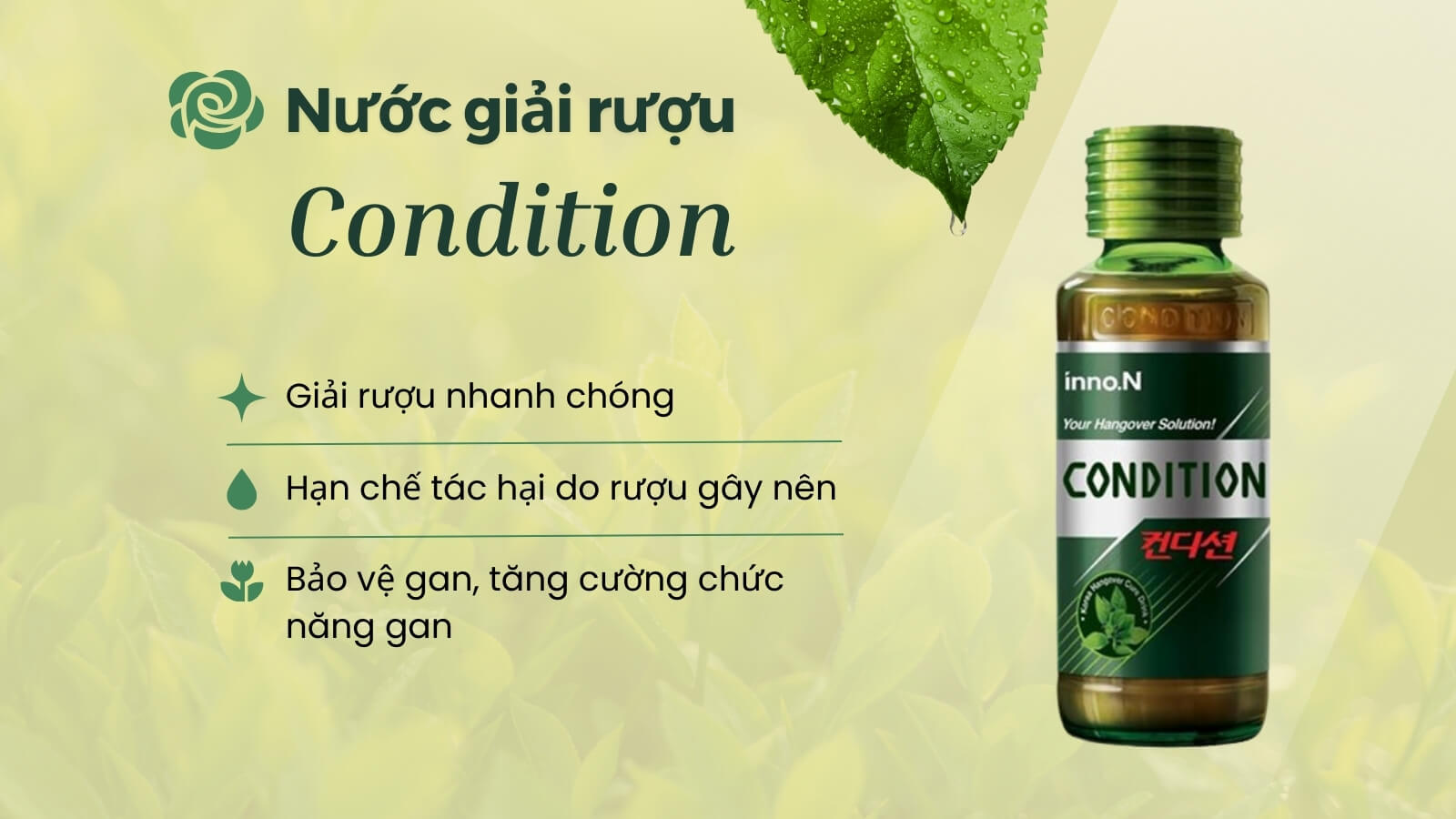 Condition - Nước giải rượu nhanh chóng, hiệu quả