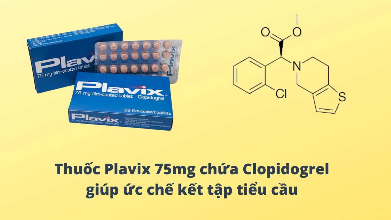 Thuốc Plavix 75mg chứa Clopidogrel giúp ức chế kết tập tiểu cầu