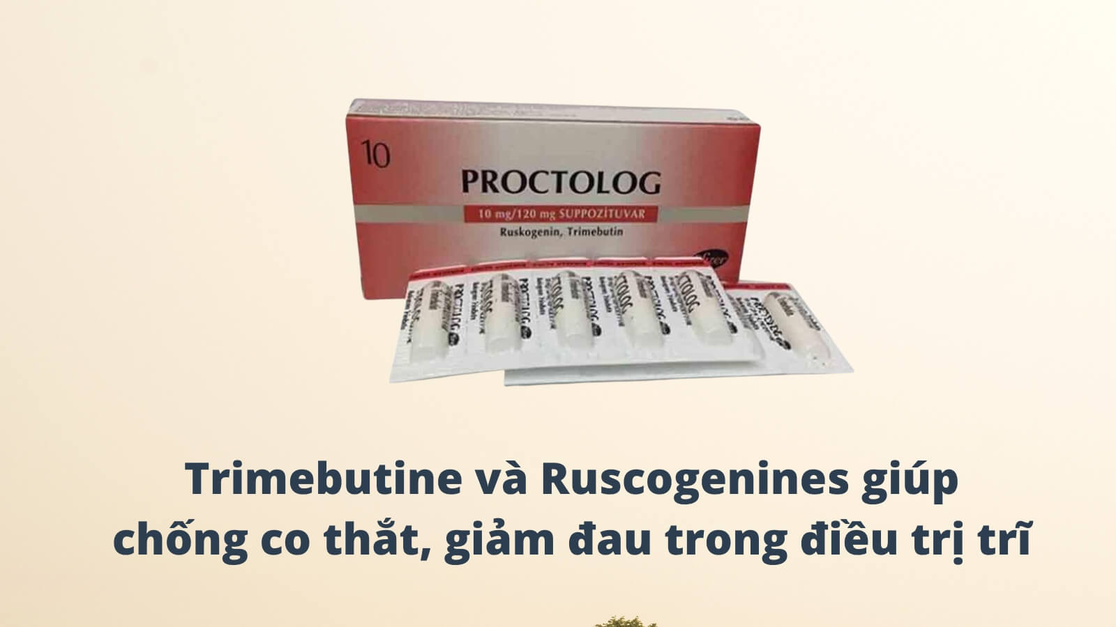 Trimebutine và Ruscogenines giúp chống co thắt, giảm đau trong điều trị trĩ