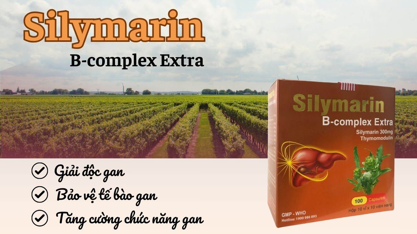 Silymarin B-complex Extra rất tốt cho tế bào gan