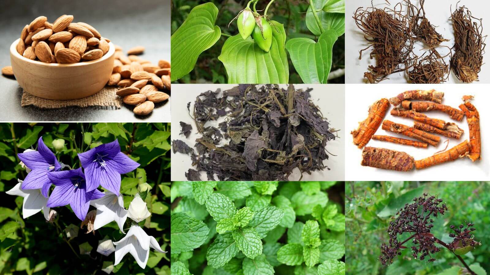 Siro ho người lớn Heropharm giúp giảm ho hiệu quả 