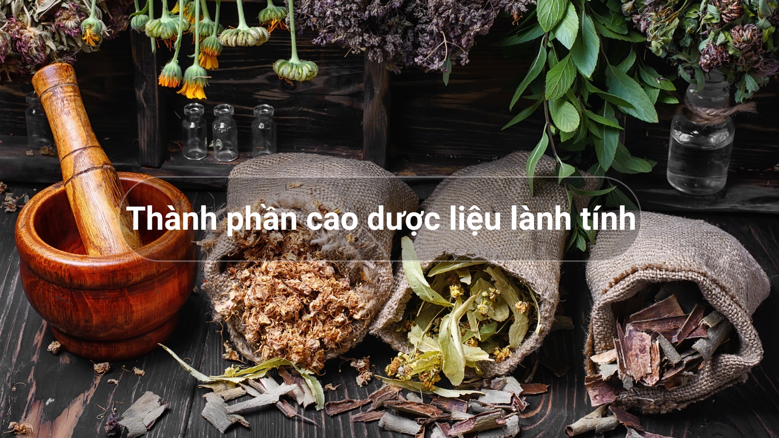 Thành phần da dược liệu cổ truyền lành tính của Stonebye bổ thận