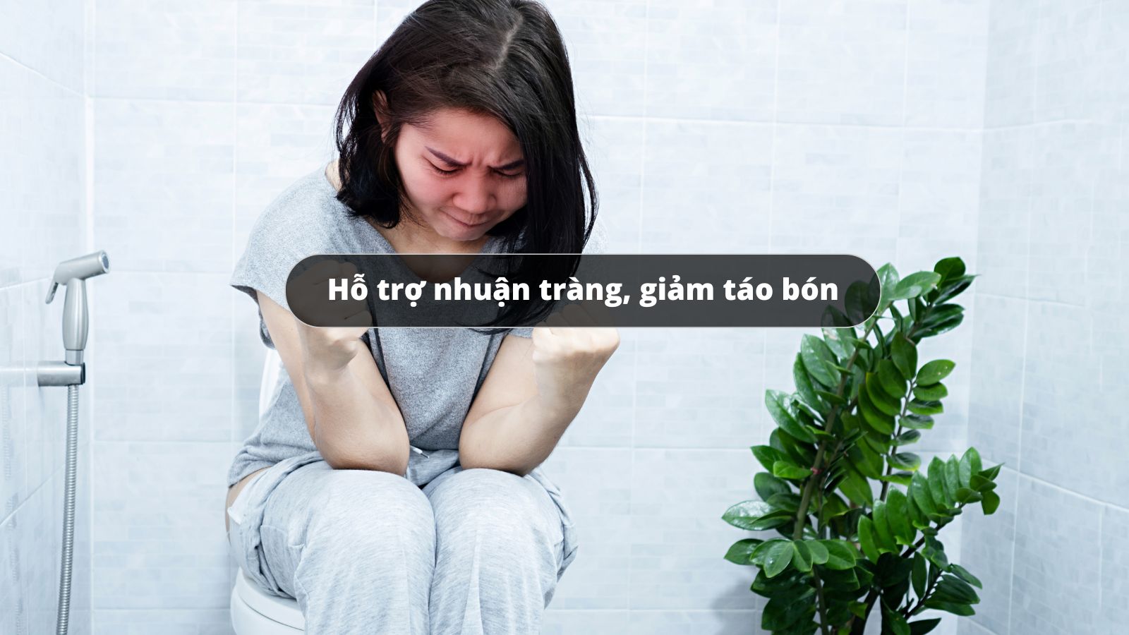 Tác dụng chính của sản phẩm