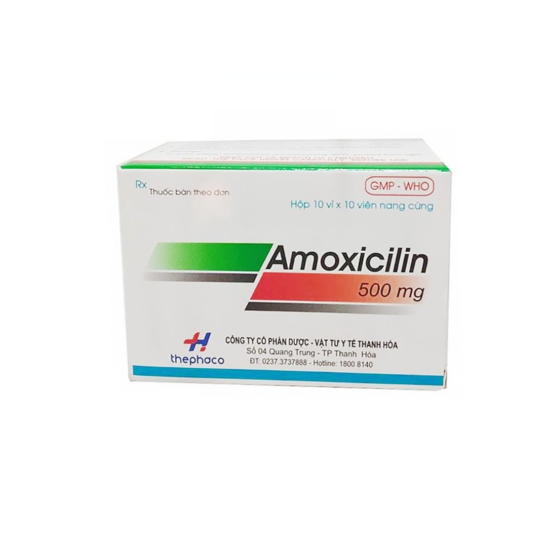 How Much Amoxicillin For A 20Kg Dog Dosage Guide   Thuoc Amoxicillin 500mg 62d7be4112024 