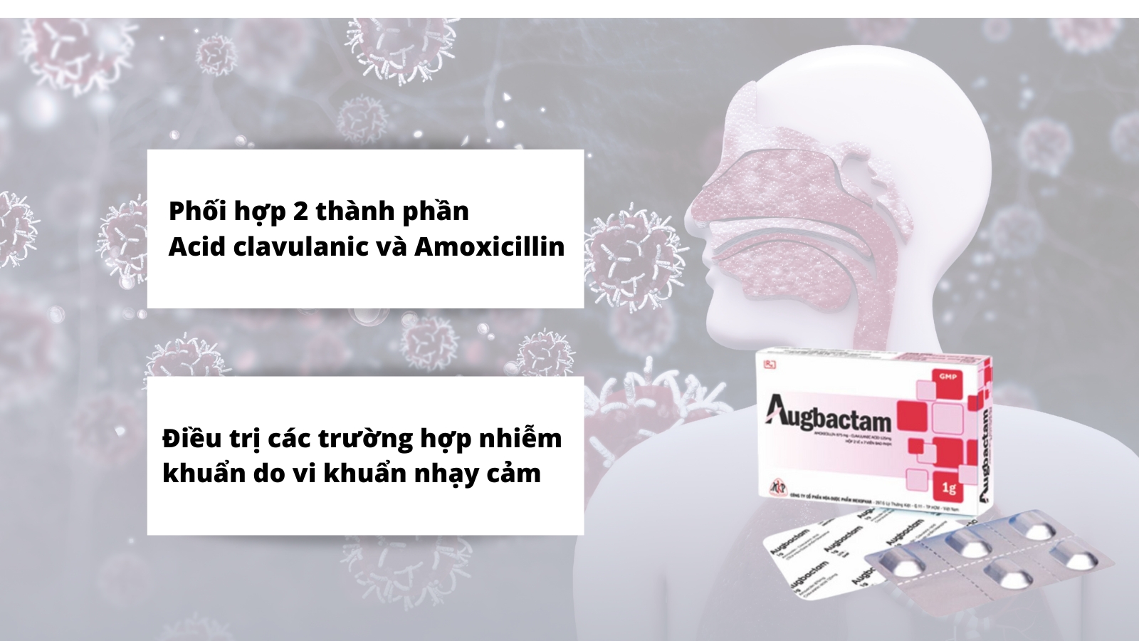 Thuốc được chỉ định để điều trị các trường hợp nhiễm khuẩn do vi khuẩn nhạy cảm