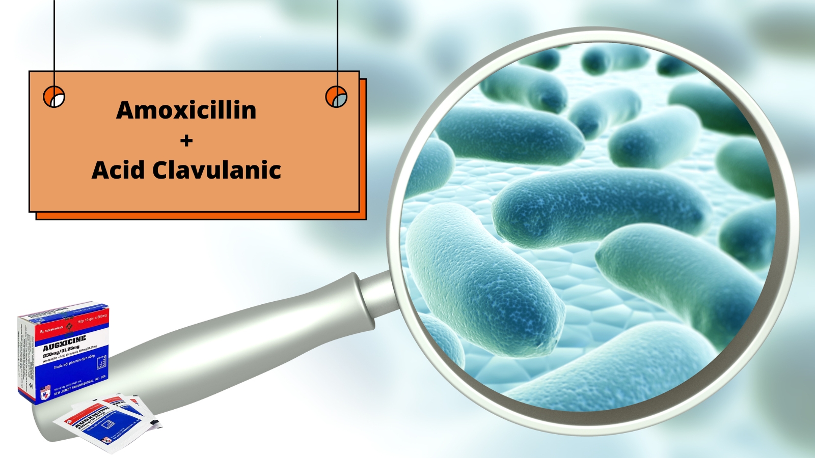 Thuốc Augxicine là sự kết hợp của hai thành phần Amoxicillin và Acid Clavulanic