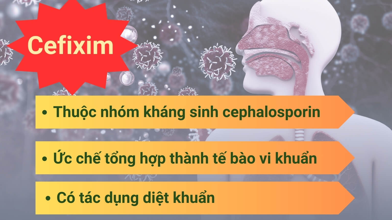 Cefixim có tác dụng diệt khuẩn hiệu quả