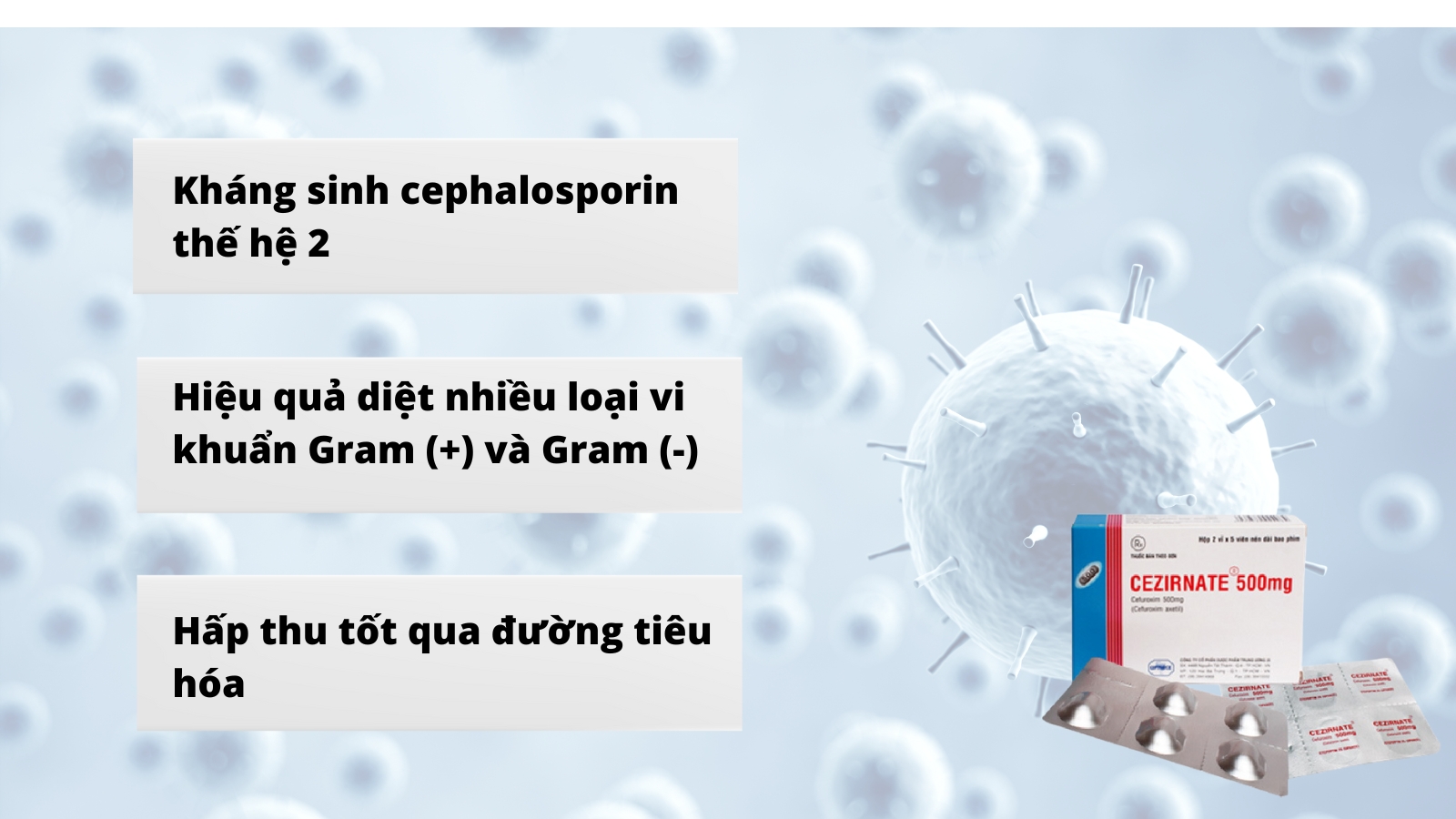  Cefuroxime axetil có hiệu quả chống lại nhiều loại vi khuẩn Gram dương và Gram âm