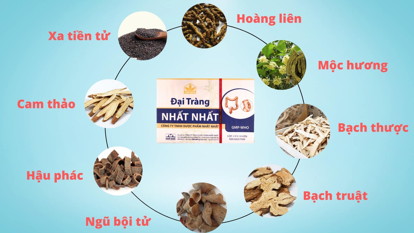 Thuốc Đại Tràng Nhất Nhất chứa các dược liệu điều trị viêm đại tràng