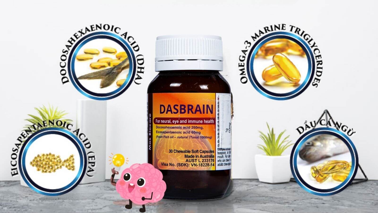 Các thành phần mang lại tác dụng chính của thuốc DasBrain 