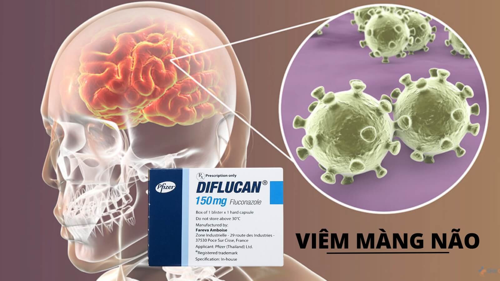 Diflucan 150mg - Điều trị viêm màng não do Cryptococcus