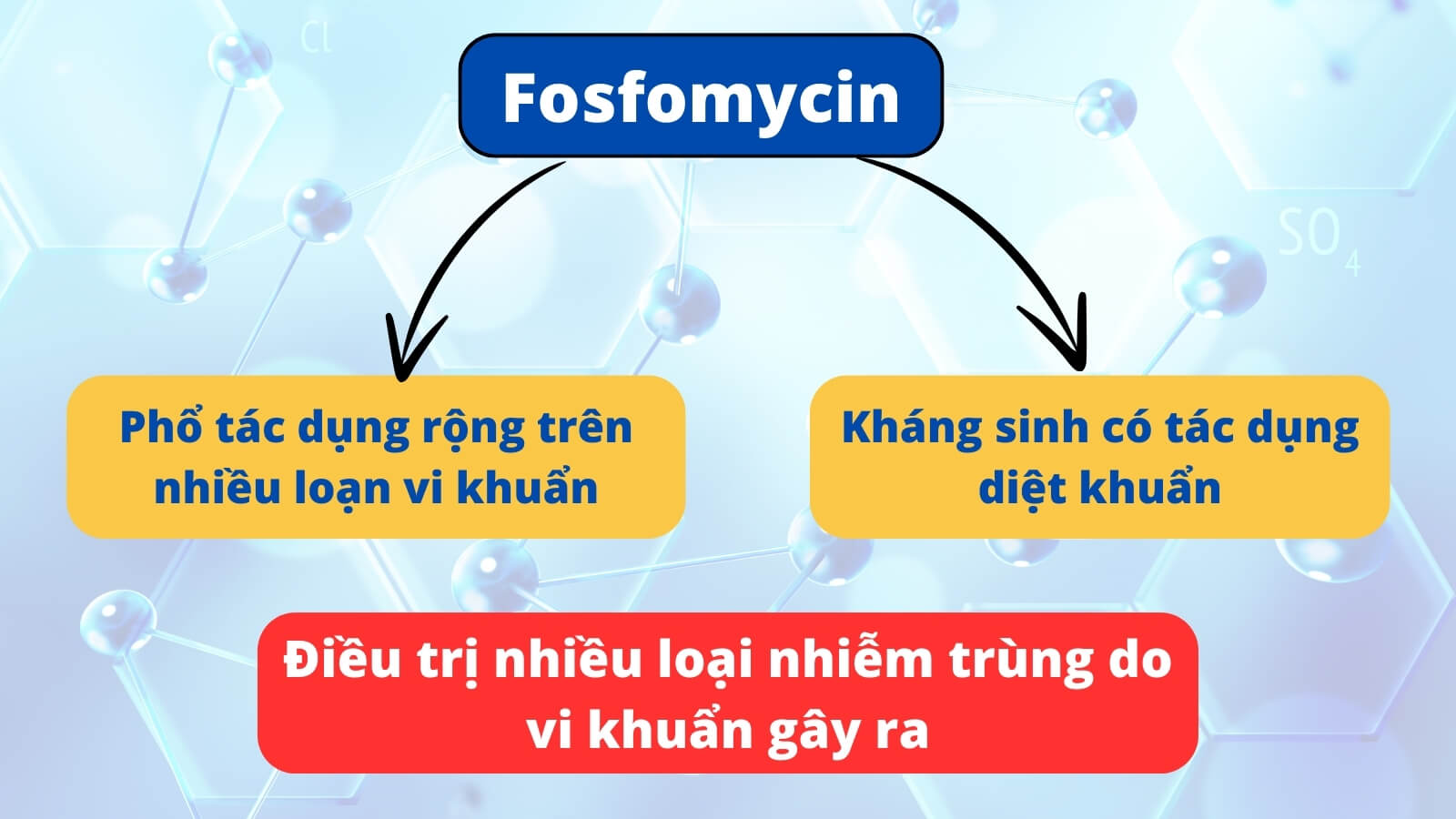 Fosfomycin sử dụng điều trị trong nhiều loại nhiễm trùng