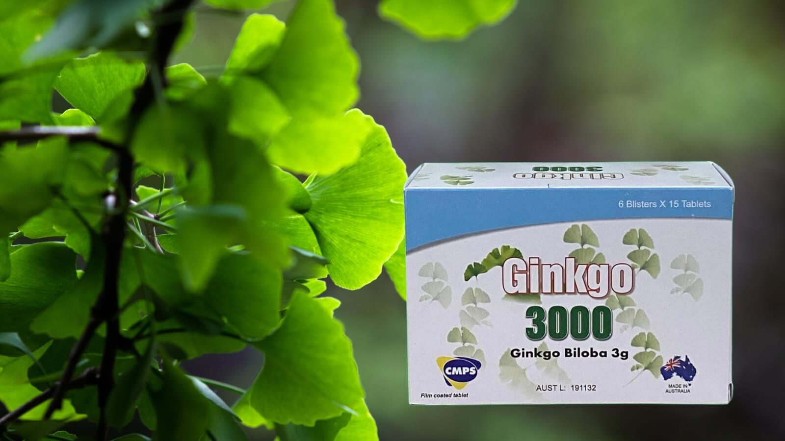 Sản phẩm chứa hàm lượng cao Ginkgo biloba