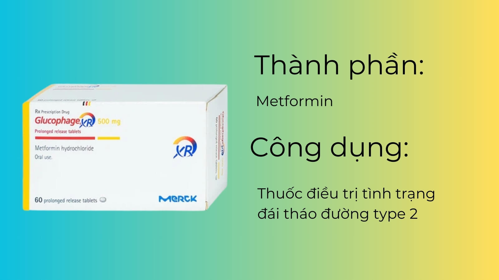 Thành phần và công dụng của thuốc Glucopha XR 500mg