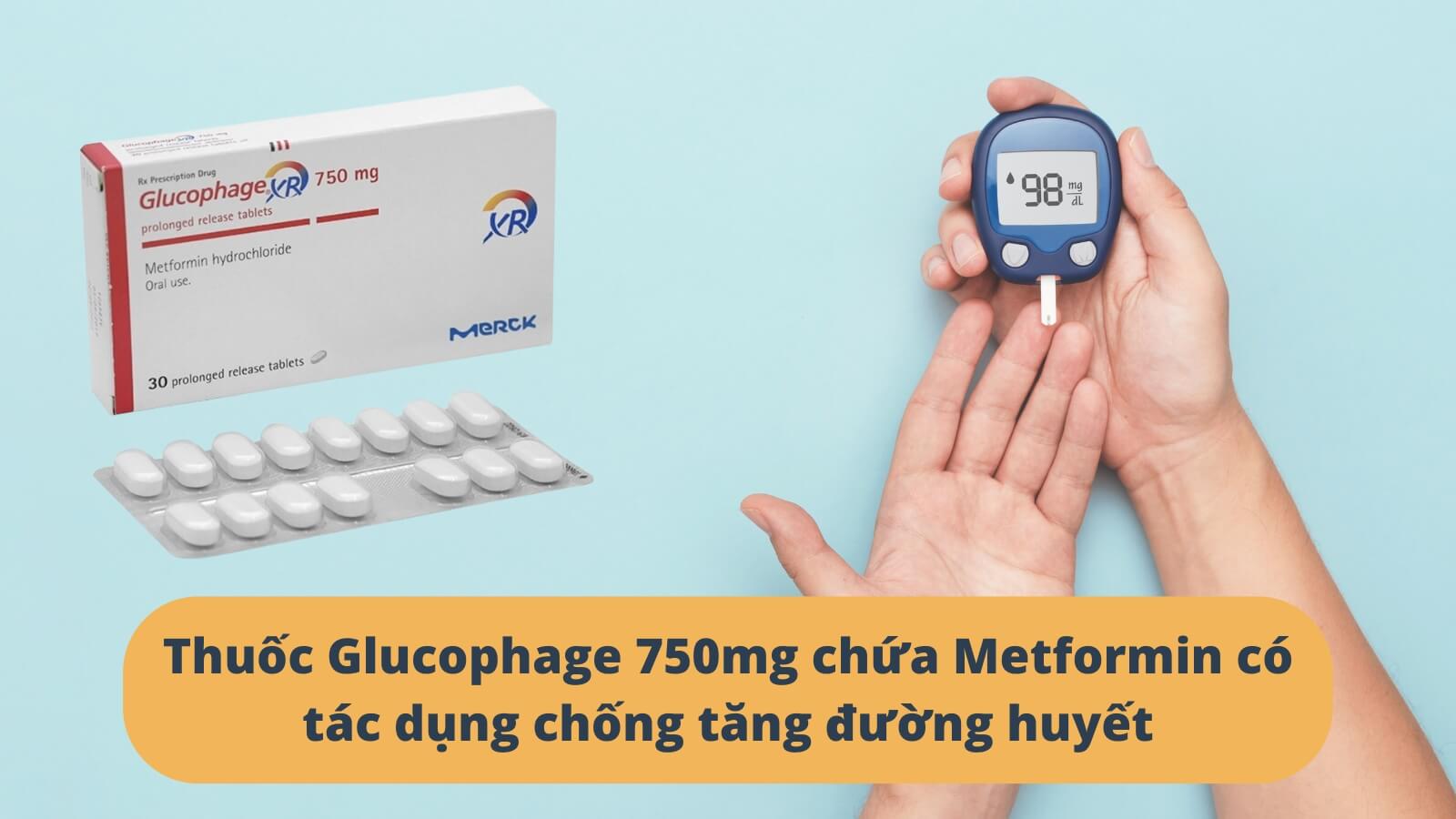 Metformin có tác dụng chống tăng đường huyết