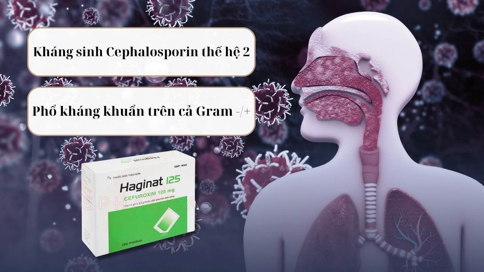 Cefuroxim là kháng sinh nhóm cephalosporin thế hệ 2